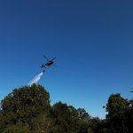(c) BFKDO Gänserndorf, FF Probstdorf